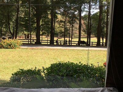 Perfect location!! Amazing view! Country serenity & mins to ATL and FIFA events!