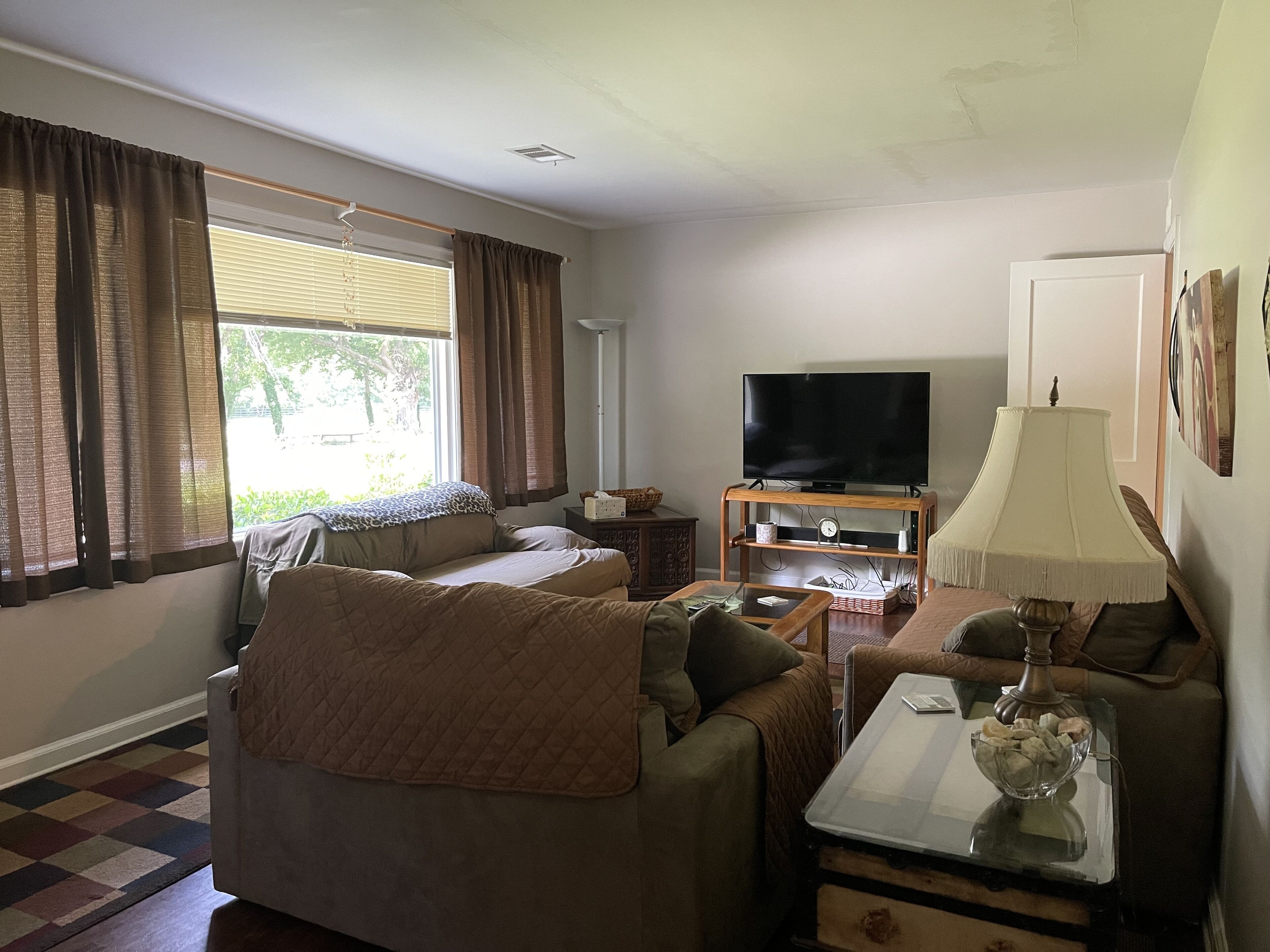 ⭐⭐HORSE PARK VIEW⭐⭐Easy access to Attractions, The Fox, Emory, Business Travel⭐⭐