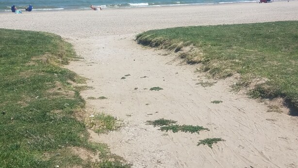 A beach with a sandy path leading to the water, grassy areas, and a clear sky. - Relaxing Gem Beach, Close to Twin Oast Brewery, Orchard Eatery and Miller Ferry (Port Clinton)