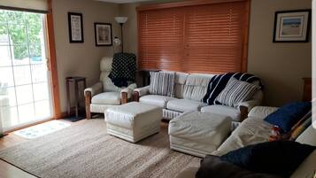 Älytelevisio, DVD-soitin