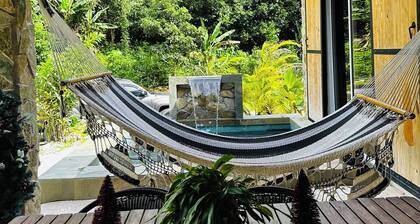 Rio Abajo Forest Cabin,Perfect for birdwatchers, adventures or just relax.