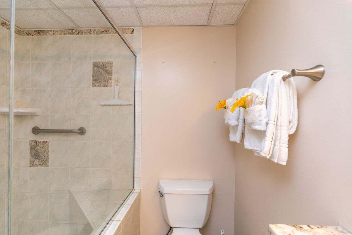 A bathroom with a glass-enclosed shower, a toilet, and towels hanging on a wall-mounted rack.