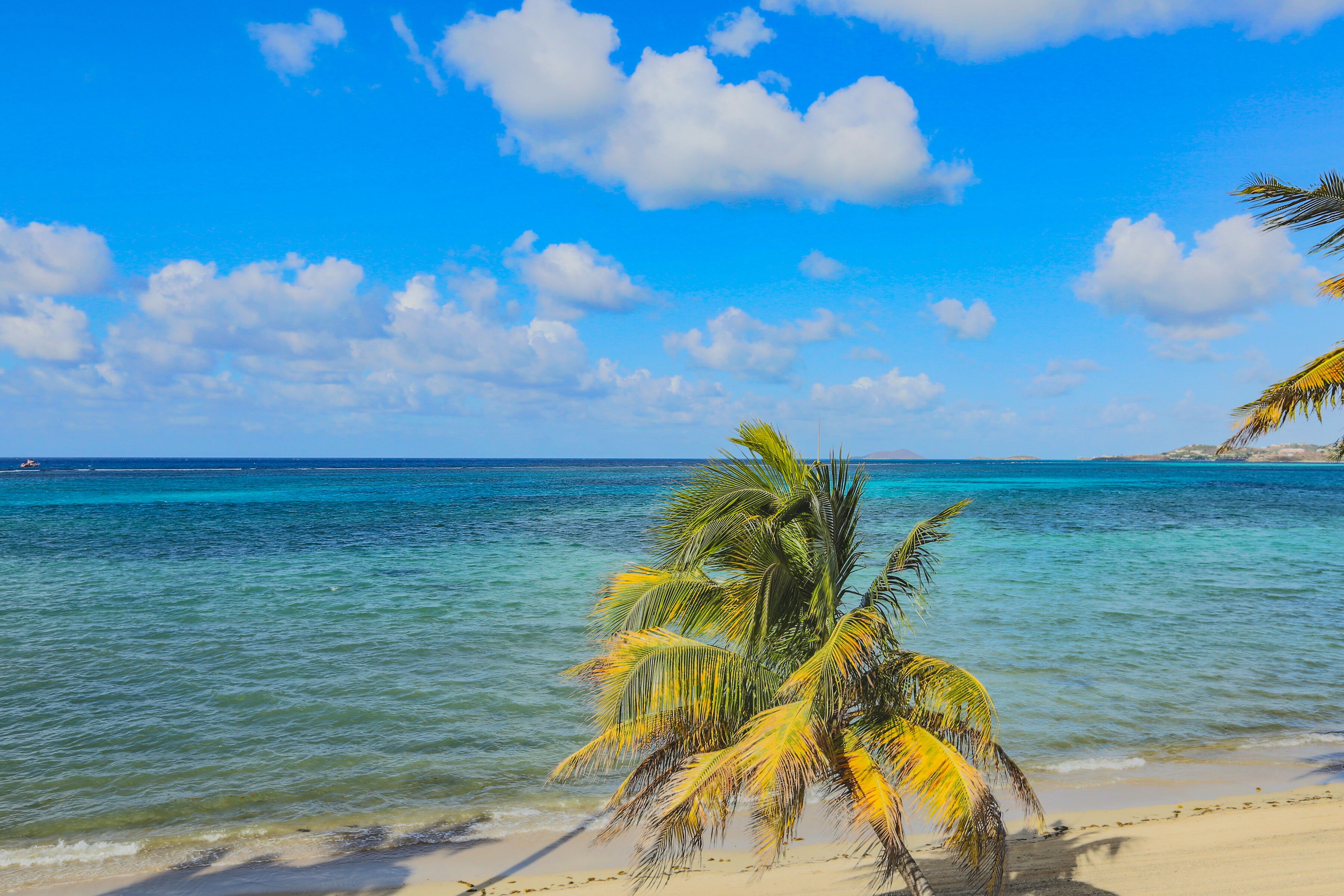 På stranden, solsenger og strandhåndklær
