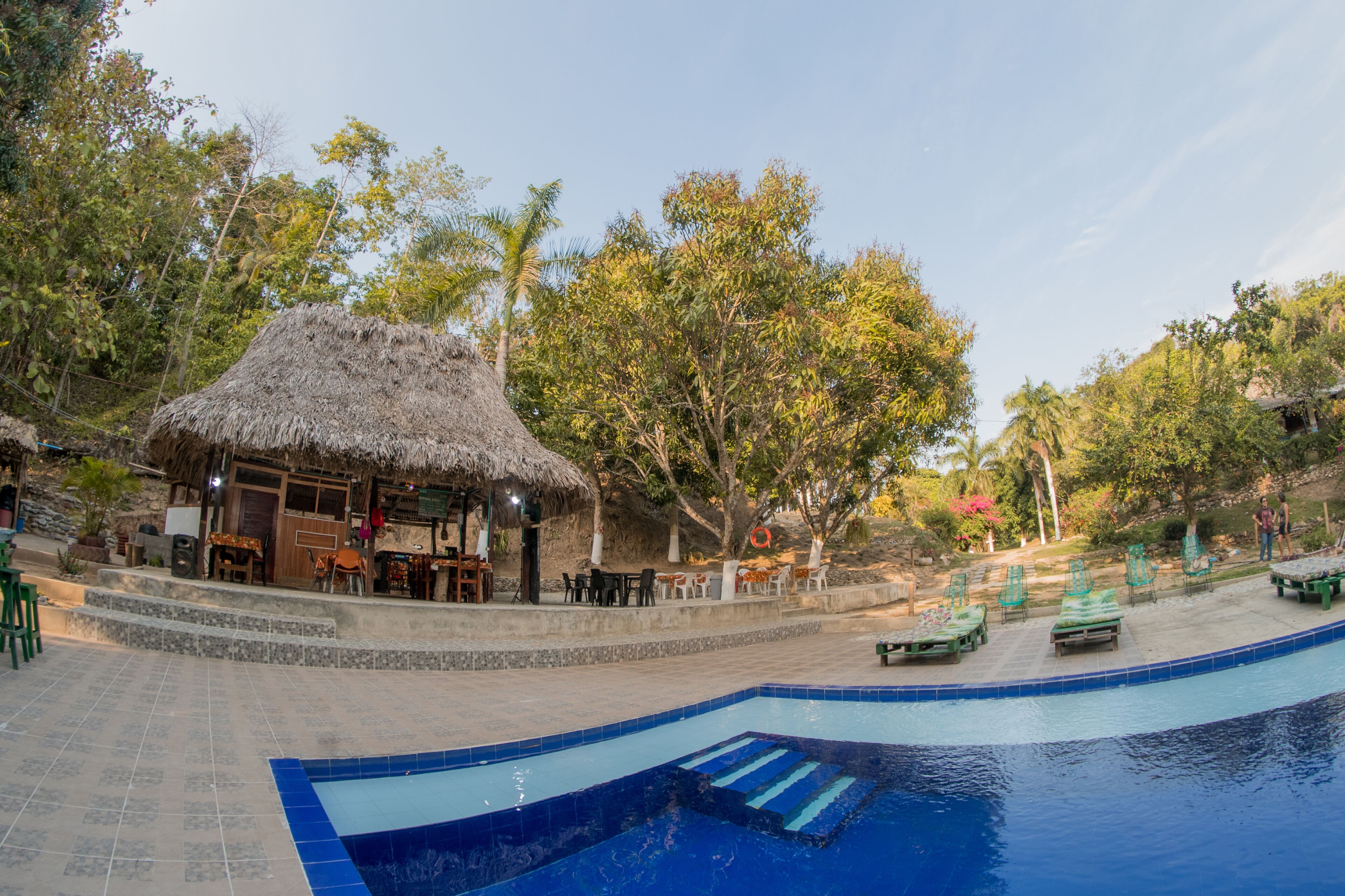Outdoor pool, sun loungers