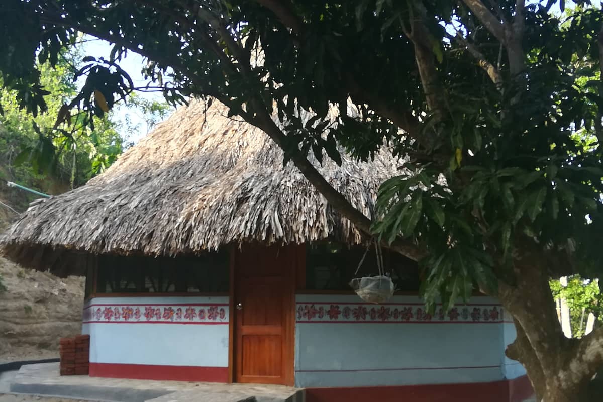 A thatched-roof hut with a wooden door and a small window, surrounded by trees.