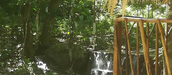 Entre Bosques Tayrona