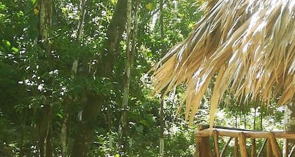 Entre Bosques Tayrona