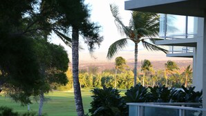 Un edificio moderno con amplios ventanales que dan a un paisaje exuberante con palmeras y un campo de golf.