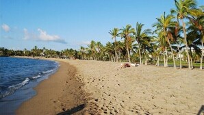 Una playa con palmeras y una persona acostada sobre la arena.