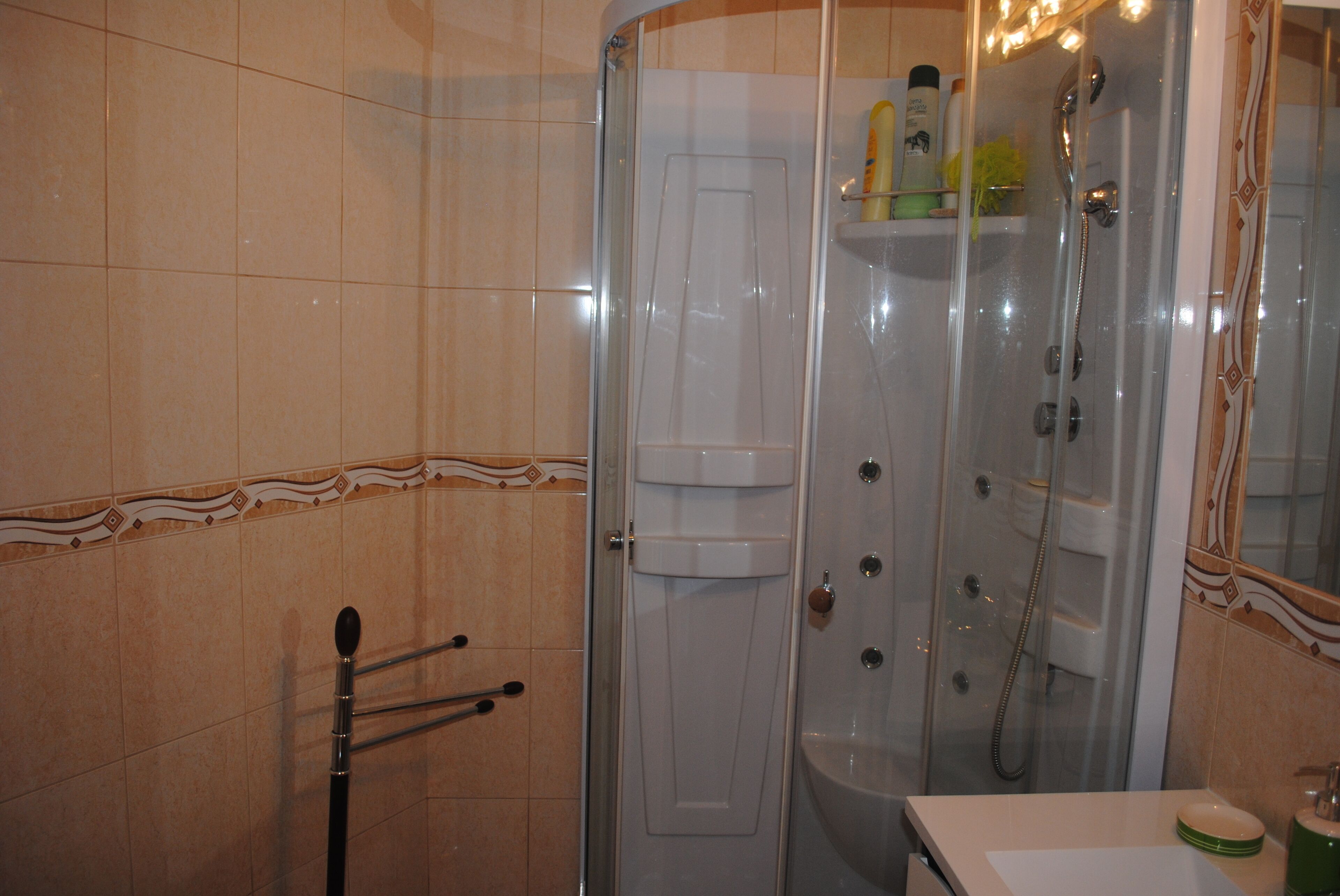 Shower, hair dryer, bidet, towels