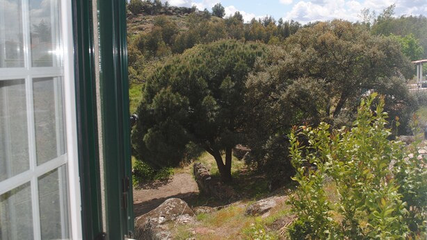 Vista de un paisaje natural con árboles y un muro de piedra.