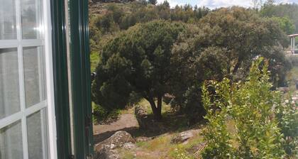 House in Monsanto-Relva
