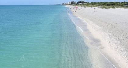 Tämä on yksi! Venetsian tähti! Yksityinen aurinkolämmitteinen uima-allas, lähellä rantaa!