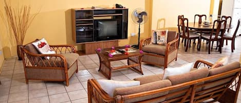 Televisión