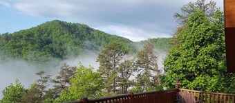 Can't Bear to Leave in Shagbark