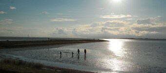 House Deichschaf, Tyskland