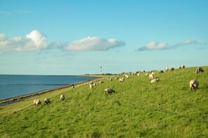 Photo non classée, 4 sur 18, bouton