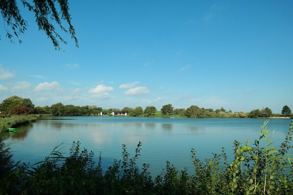 Unclassified image, 1 of 18, button