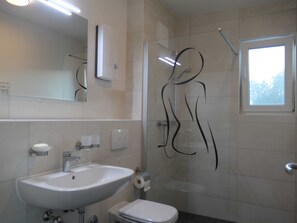 Shower, hair dryer