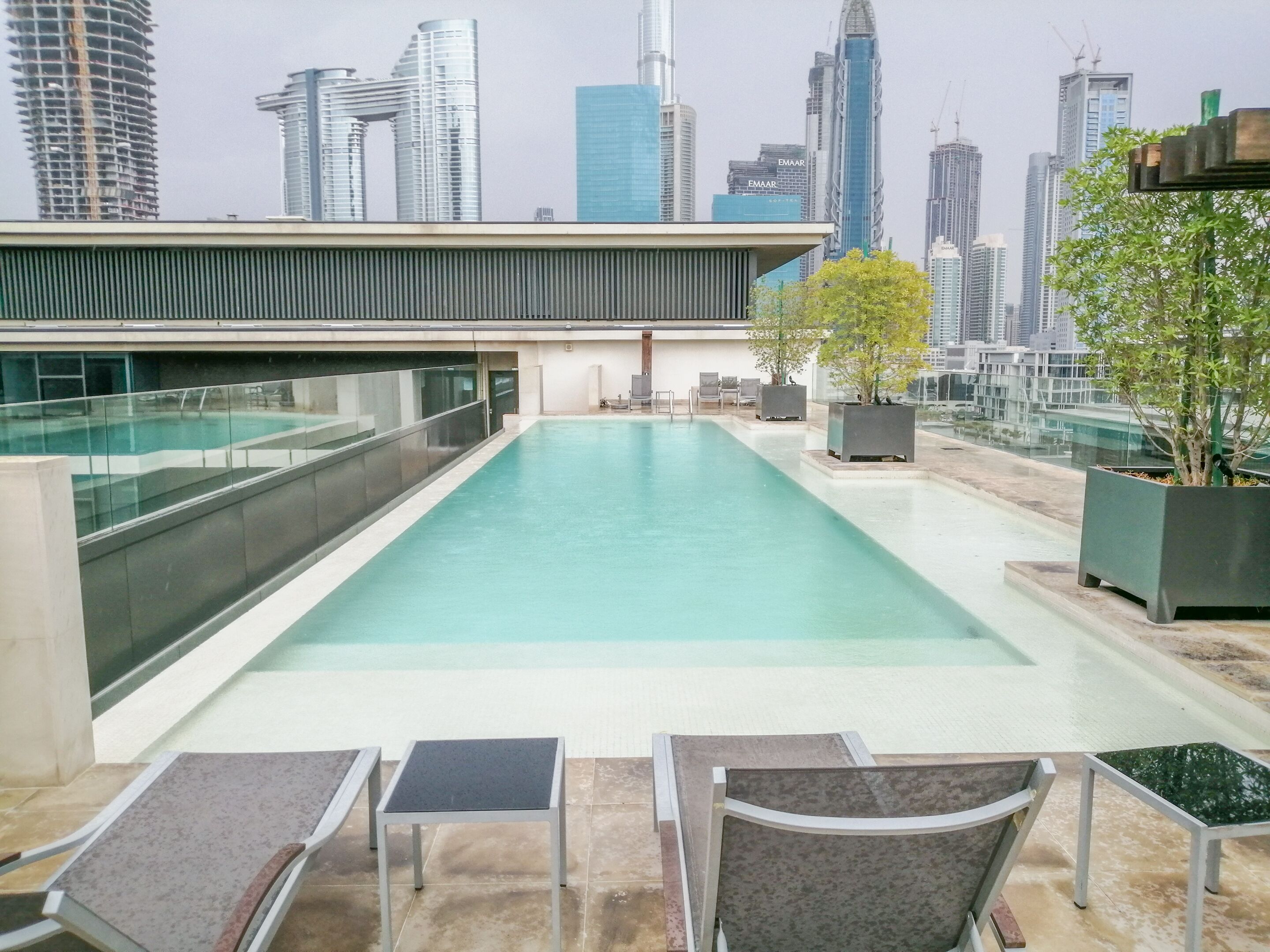 A rooftop pool with a city skyline view, lounge chairs, and potted plants.