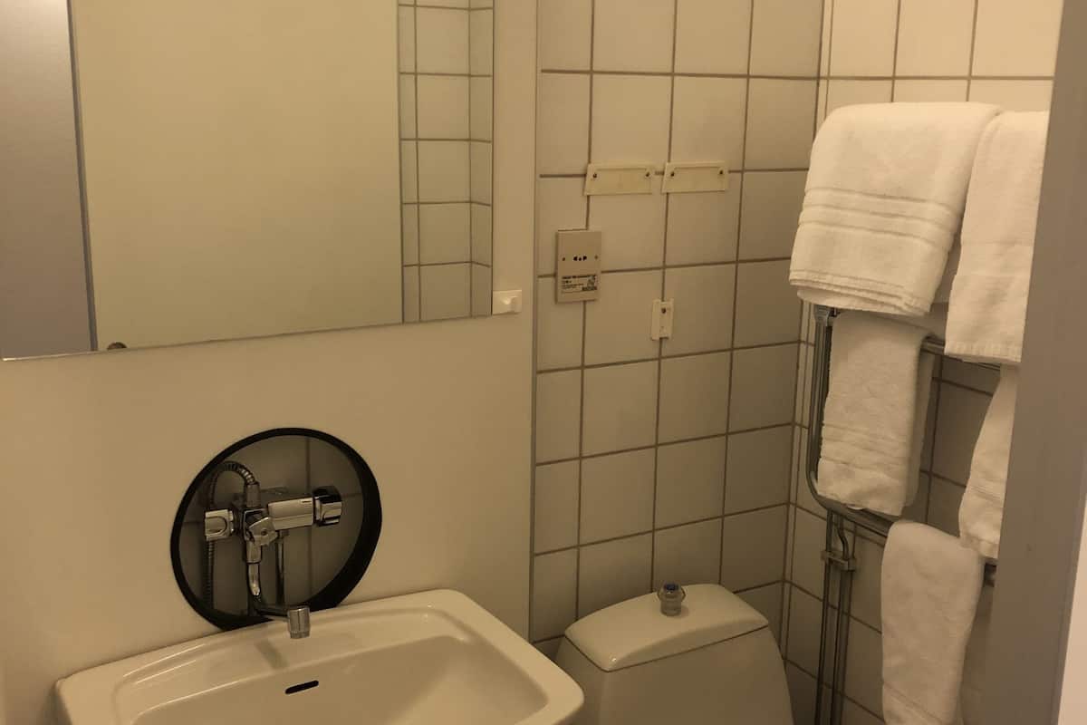 shower, eco-friendly toiletries, hair dryer, towels