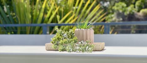 A balcony with a white railing, a woven basket, and a potted plant with green foliage.