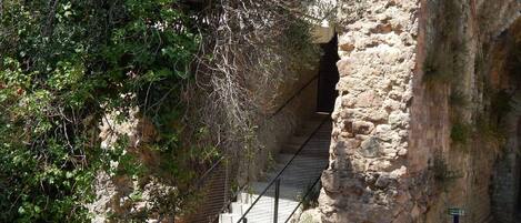 Terrain de lâhĂ©bergement