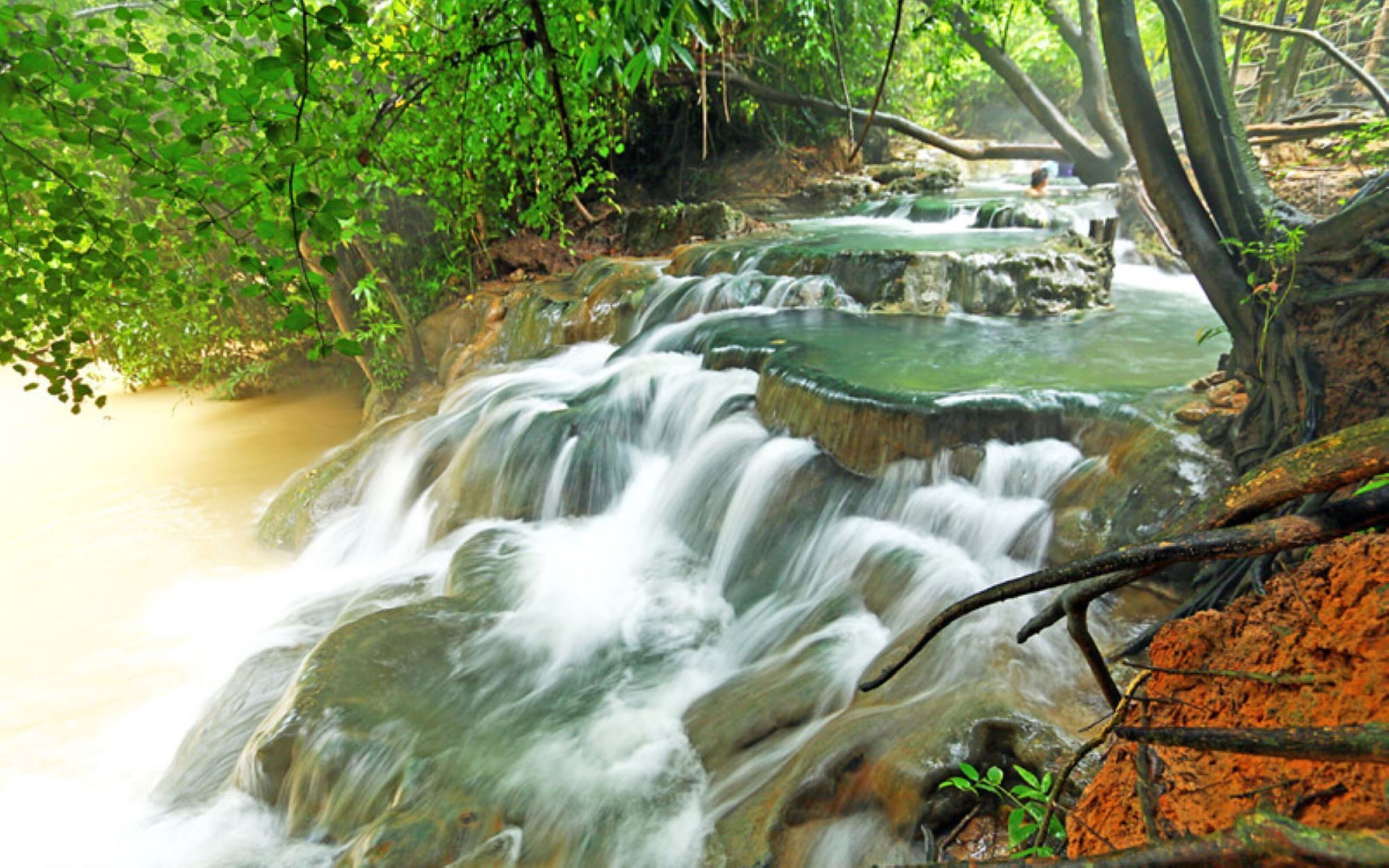 Ein Wasserfall stürzt über Felsen in einem bewaldeten Gebiet.