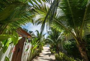 A pathway flanked by lush tropical plants leading to a building.