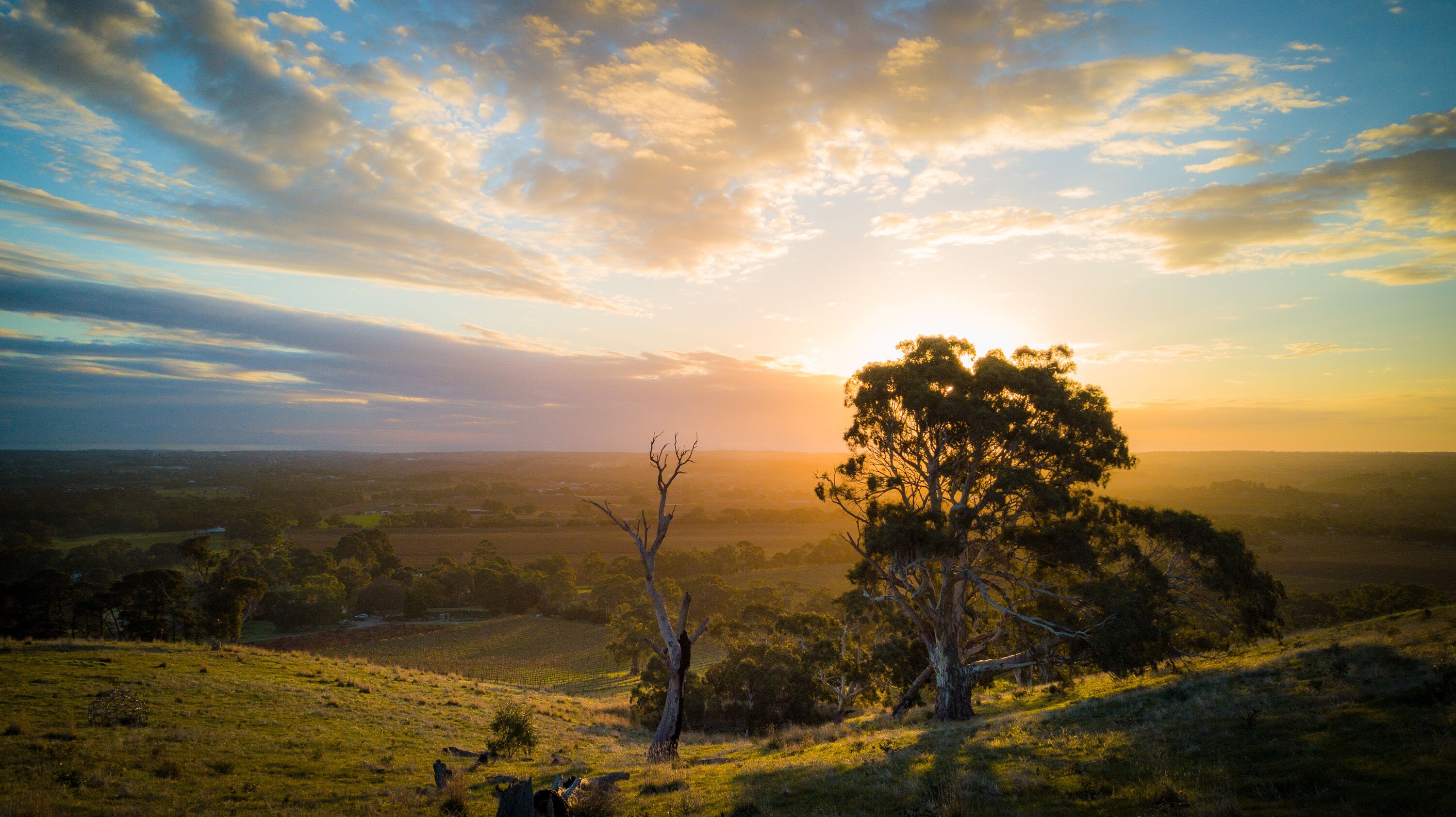 Vineyard farmstay retreat in the McLaren Vale wine region — image 5