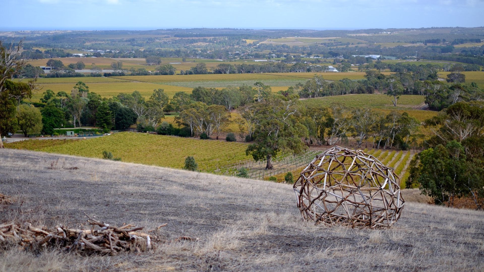 Vineyard farmstay retreat in the McLaren Vale wine region — image 11