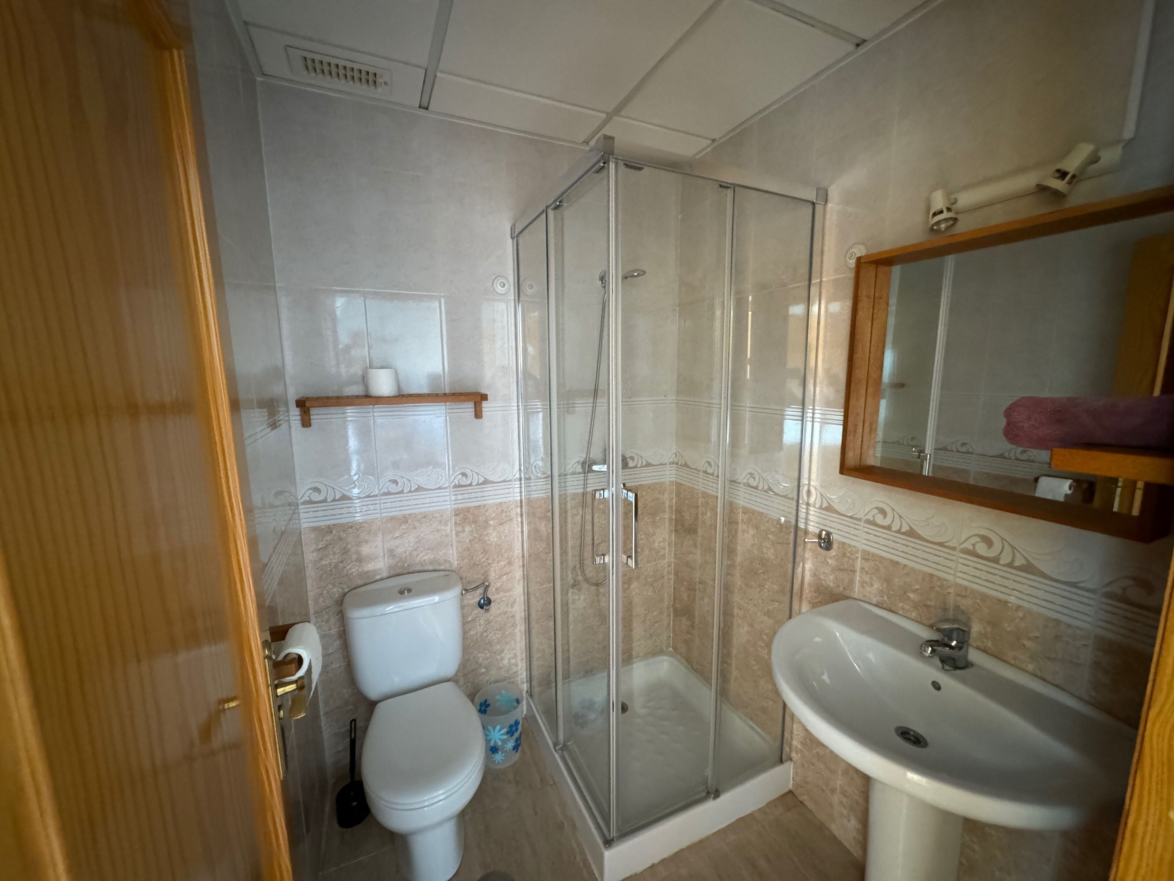 A bathroom with a glass shower enclosure, a toilet, a sink, and a mirror.