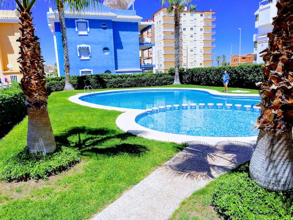 A swimming pool surrounded by well-maintained grass and palm trees, with a building in the background.