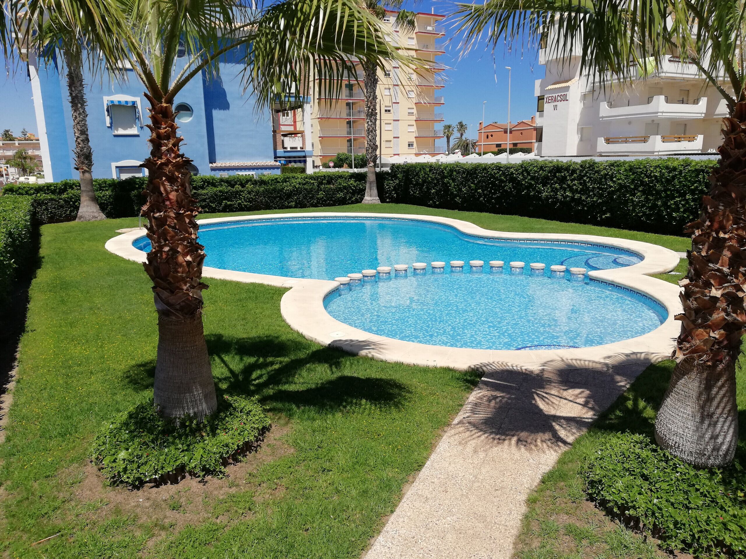Una piscina de diseño curvo, rodeada de césped cuidado y palmeras.