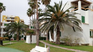A courtyard with palm trees, a white bench, and a pathway leading to a building with balconies and green shutters. - Deltamar 44 Solo Familias! (Xeraco Playa)