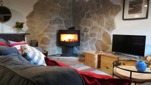 A cozy living room with a stone wall, a fireplace, a sofa, a television, and a small table with a vase. - "Casa Sira", a privilege for the senses (Villaviciosa)