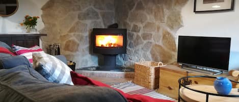 Een televisie, een open haard, een dvd-speler en boeken