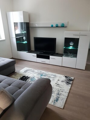 Una televisión, un reproductor de DVD, libros