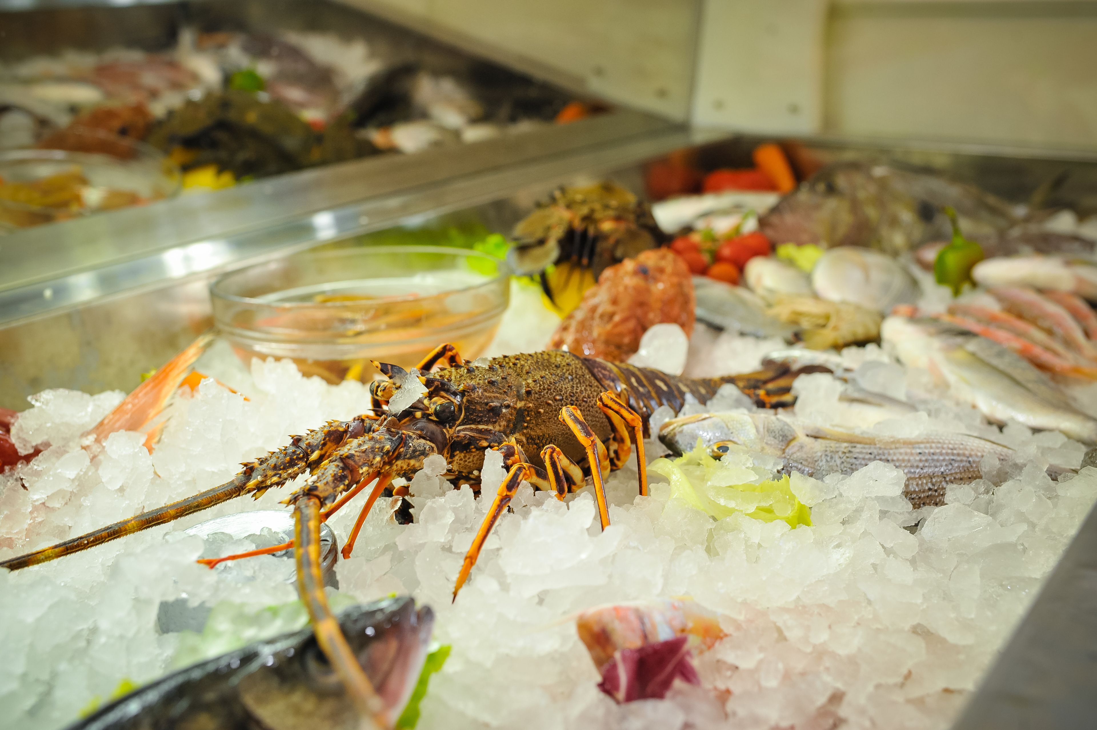 A seafood display with various types of shellfish and lobster on ice.
