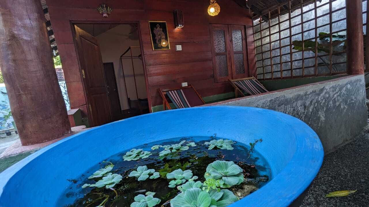 A blue water feature with lotus plants, a wooden structure with a door, and a window with a grid pattern.