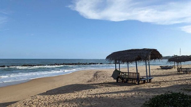 Una playa con sombrillas de paja y bancos de madera.