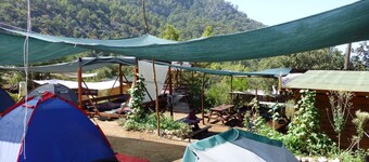 Asiyan Kamp