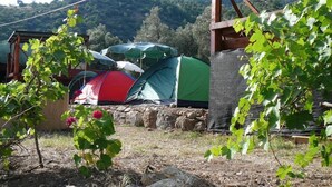 Unclassified image, 3 of 15, button - Asiyan Kamp (Fethiye)