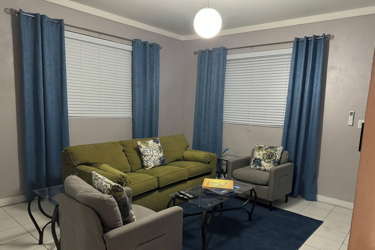A living room with a green sofa, a grey armchair, a coffee table, and a blue rug.