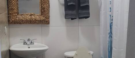 Kylpyhuone, jossa on pesuallas, wc ja suihkuverho.