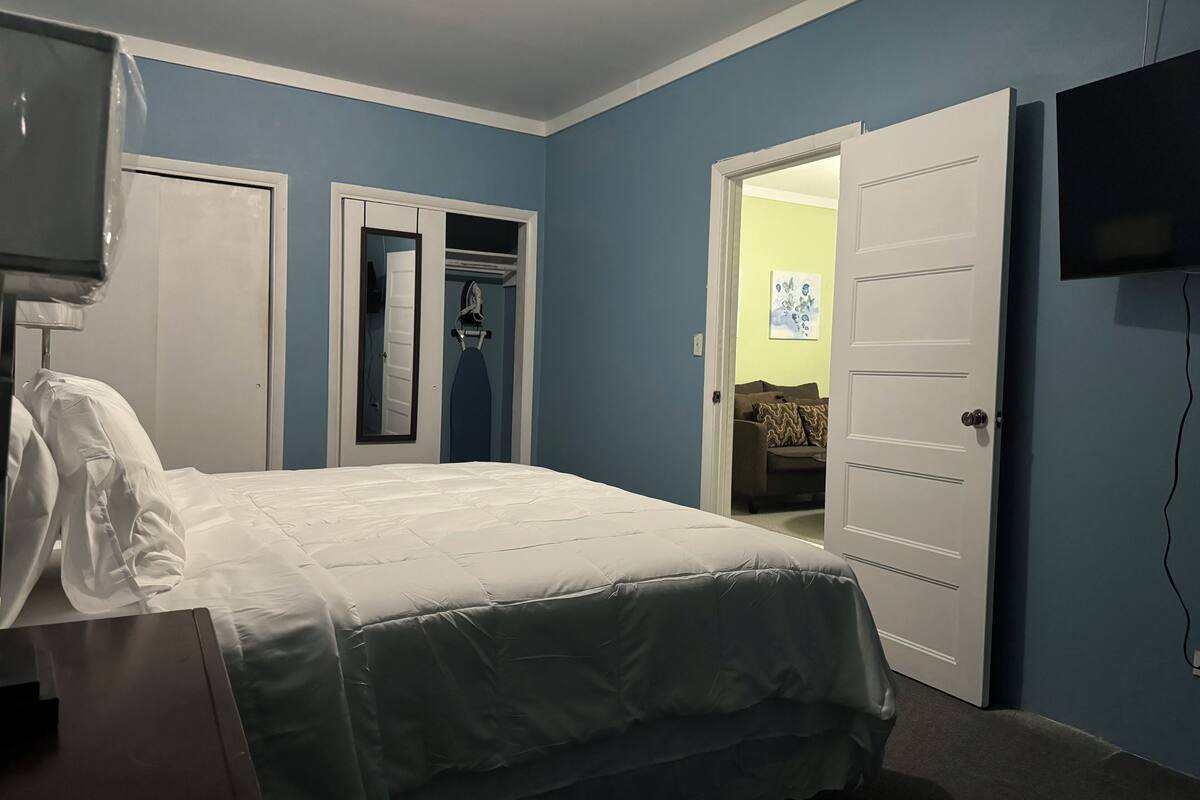 A bedroom with a bed, a TV, a closet, and a door leading to another room.