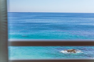 Vista desde la propiedad