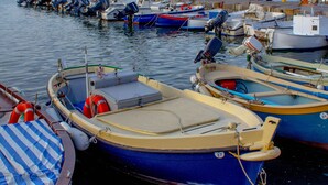 Un puerto deportivo con varias embarcaciones pequeñas amarradas.