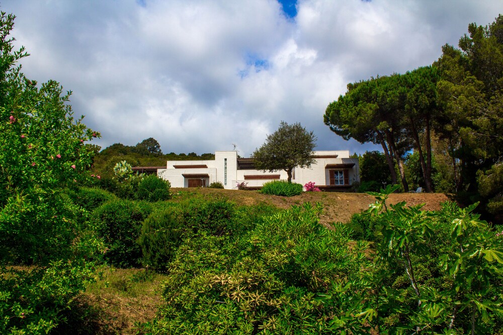 Apartment 4 + 2 beds Marina di Campo (Elba Island) with wooded land