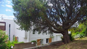 Un edificio blanco con un árbol grande en la parte delantera, una pared de ladrillo y una barandilla metálica.